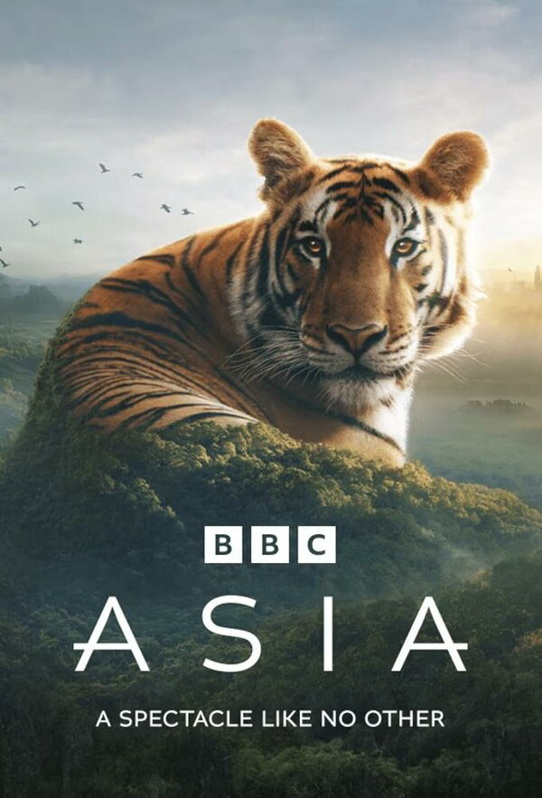 Постер сериала